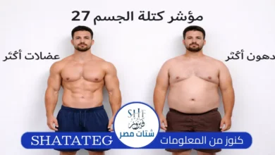 حاسبة BMI مؤشر كتلة الجسم